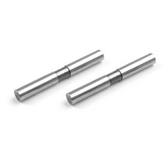 XRAY Rear Arm Pivot Pin (2 pcs)