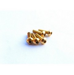 Hiro Seiko M3x6 Gold Alloy Hex Socket Button Head Screw - Clicca l'immagine per chiudere