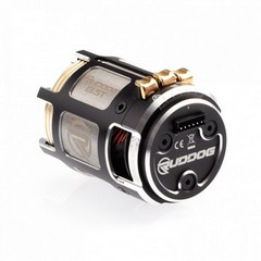 RUDDOG Racing RP542 13.5T 540 Stock Sensored Brushless Motor (EFRA)