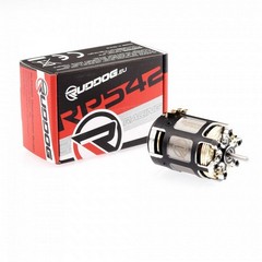 RUDDOG Racing RP542 13.5T 540 Stock Sensored Brushless Motor (EFRA)